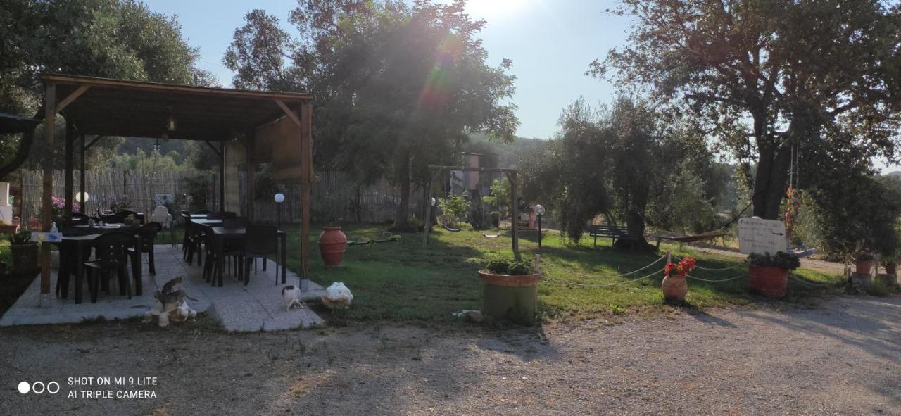 Agriturismo Poggio All'Olivo Фоллоніка Екстер'єр фото
