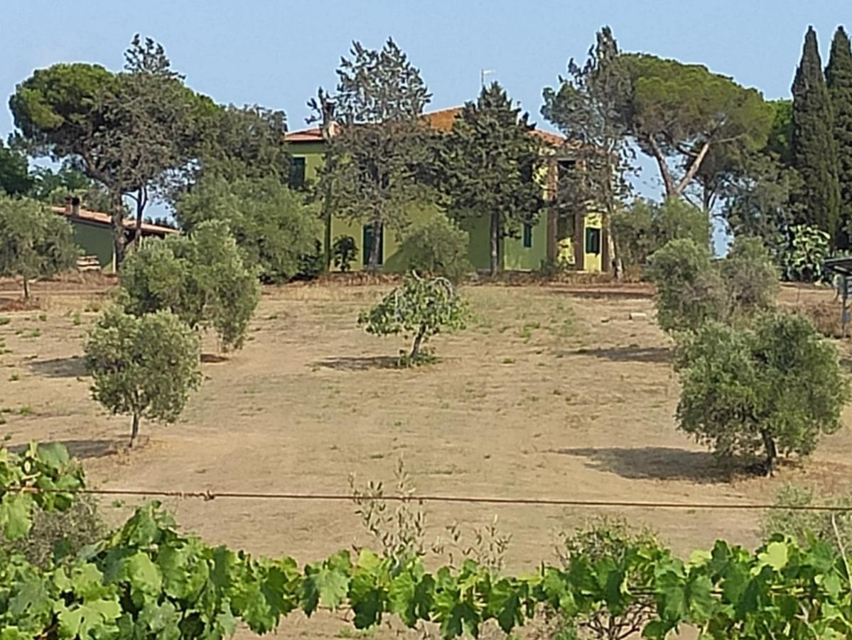 Agriturismo Poggio All'Olivo Фоллоніка Екстер'єр фото