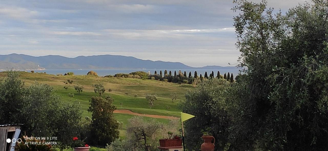 Agriturismo Poggio All'Olivo Фоллоніка Екстер'єр фото