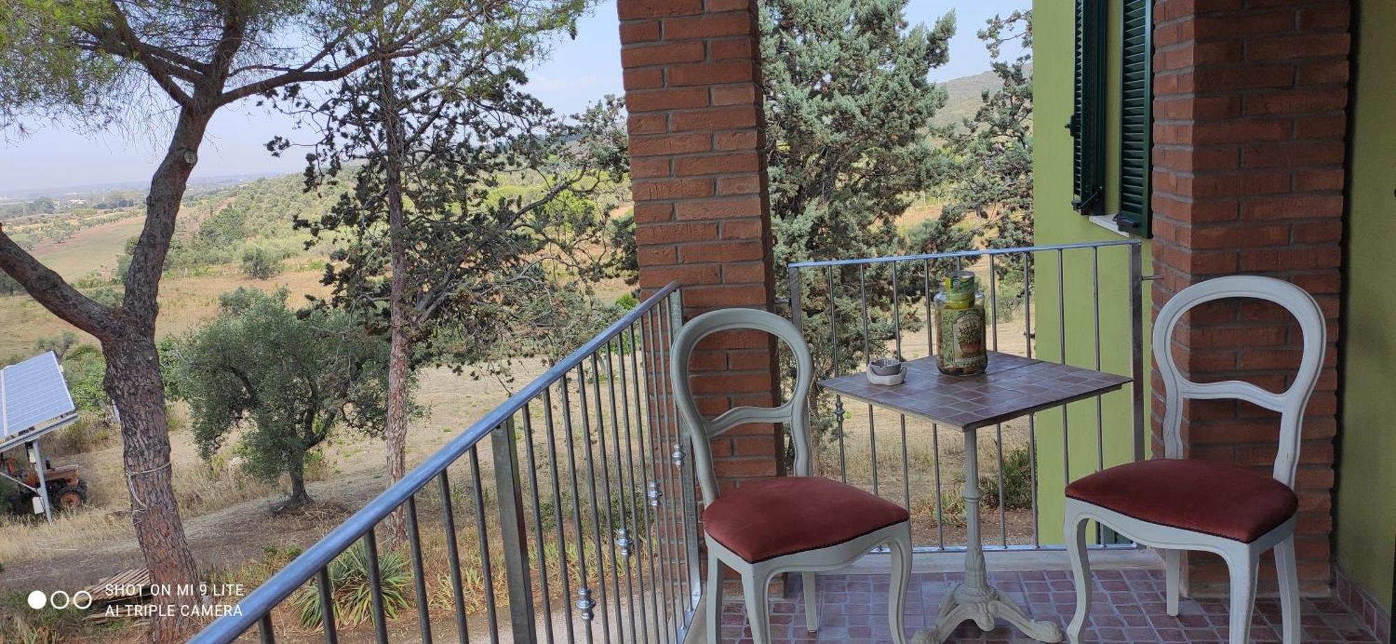 Agriturismo Poggio All'Olivo Фоллоніка Номер фото